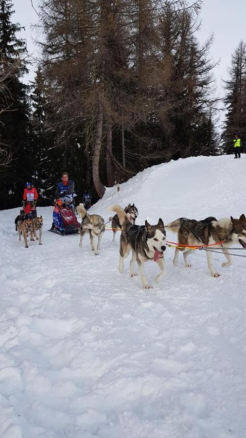 Appart Zig-Zag Les Coches La Plagne Dış mekan fotoğraf